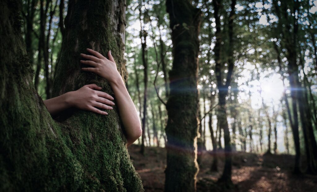 Hands embracing a moss-covered tree in a sunlit forest, reflecting nature's connection.